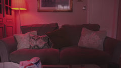 Heliored: Dual Light Therapy Oral Device